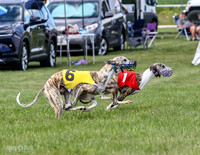 Prrogram 4, Race 1 Trillian Fia Nathalia Blaze Denim-2442