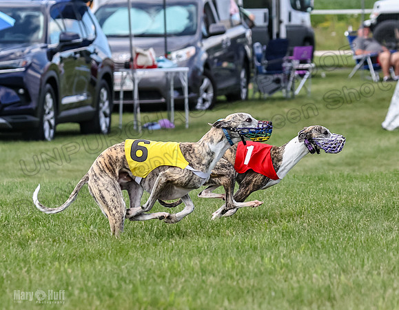 Prrogram 4, Race 1 Trillian Fia Nathalia Blaze Denim-2442