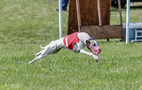 Prrogram 4, Race 3 Tissy Zelda Bandit Tusi TheFonz-2520