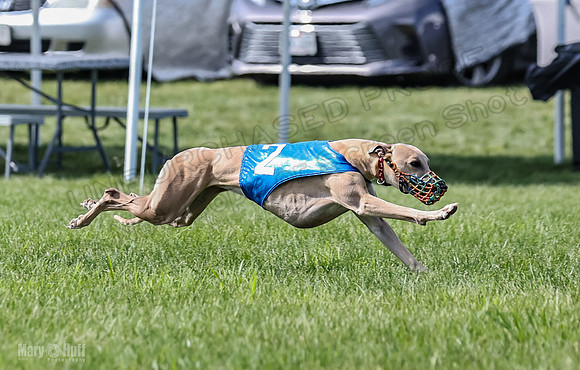 Prrogram 4, Race 3 Tissy Zelda Bandit Tusi TheFonz-2523