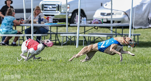 Prrogram 4, Race 3 Tissy Zelda Bandit Tusi TheFonz-2522