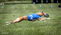 Prrogram 4, Race 1 Trillian Fia Nathalia Blaze Denim-2454