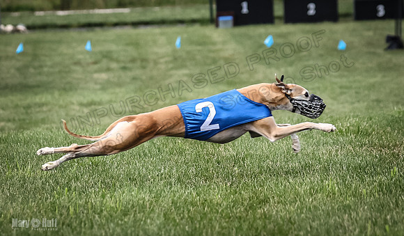 Prrogram 4, Race 1 Trillian Fia Nathalia Blaze Denim-2454
