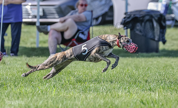 Prrogram 4, Race 6 Meatloaf Tara Conway Talim Veela Tristan-2641