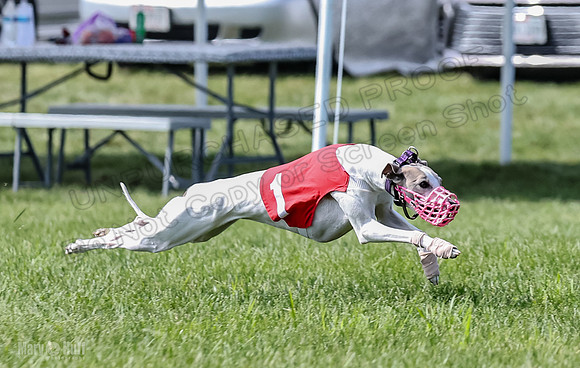 Prrogram 4, Race 3 Tissy Zelda Bandit Tusi TheFonz-2524