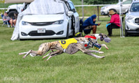 Prrogram 4, Race 1 Trillian Fia Nathalia Blaze Denim-2444