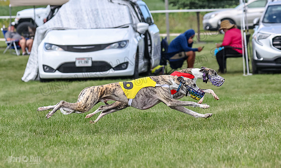 Prrogram 4, Race 1 Trillian Fia Nathalia Blaze Denim-2444
