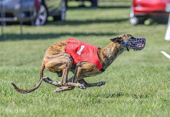 Prrogram 4, Race 6 Meatloaf Tara Conway Talim Veela Tristan-2651
