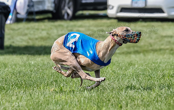 Prrogram 4, Race 3 Tissy Zelda Bandit Tusi TheFonz-2525