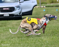 Prrogram 4, Race 1 Trillian Fia Nathalia Blaze Denim-2446