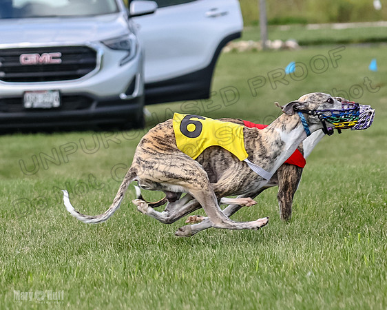 Prrogram 4, Race 1 Trillian Fia Nathalia Blaze Denim-2446
