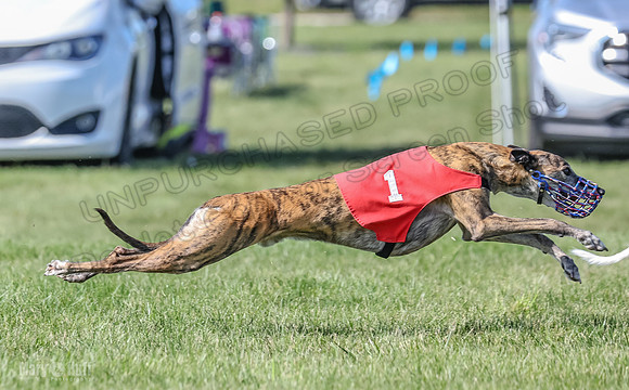 Prrogram 4, Race 6 Meatloaf Tara Conway Talim Veela Tristan-2653
