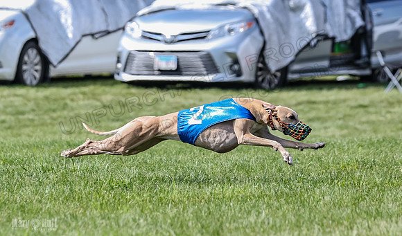 Prrogram 4, Race 3 Tissy Zelda Bandit Tusi TheFonz-2527