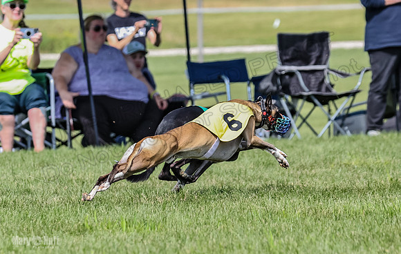 Prrogram 4, Race 3 Tissy Zelda Bandit Tusi TheFonz-2533