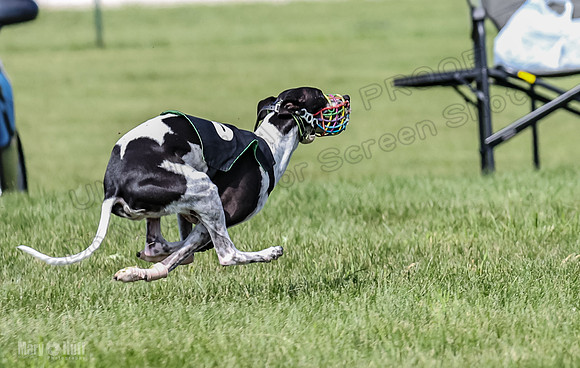 Prrogram 4, Race 3 Tissy Zelda Bandit Tusi TheFonz-2532