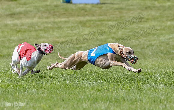 Prrogram 4, Race 3 Tissy Zelda Bandit Tusi TheFonz-2514