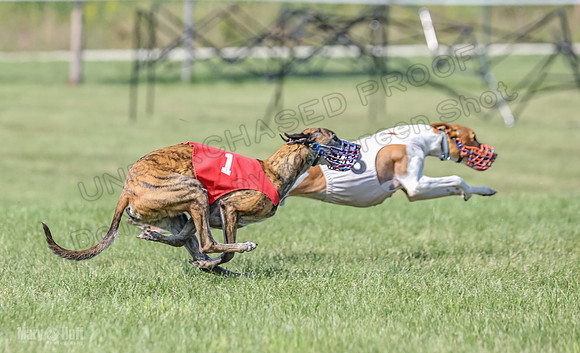 Prrogram 4, Race 6 Meatloaf Tara Conway Talim Veela Tristan-2660