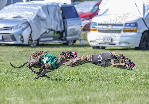 Prrogram 4, Race 6 Meatloaf Tara Conway Talim Veela Tristan-2644