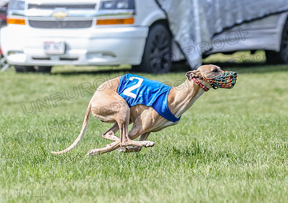 Prrogram 4, Race 3 Tissy Zelda Bandit Tusi TheFonz-2529