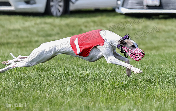 Prrogram 4, Race 3 Tissy Zelda Bandit Tusi TheFonz-2528