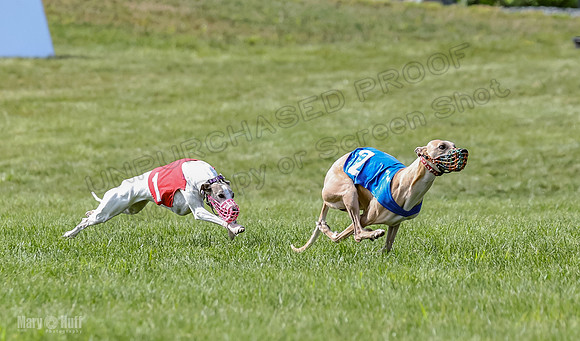 Prrogram 4, Race 3 Tissy Zelda Bandit Tusi TheFonz-2516