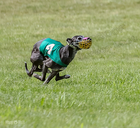 Prrogram 4, Race 3 Tissy Zelda Bandit Tusi TheFonz-2515