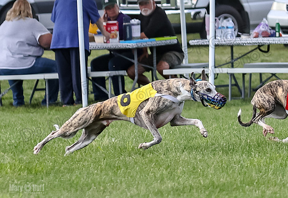 Prrogram 4, Race 1 Trillian Fia Nathalia Blaze Denim-2429
