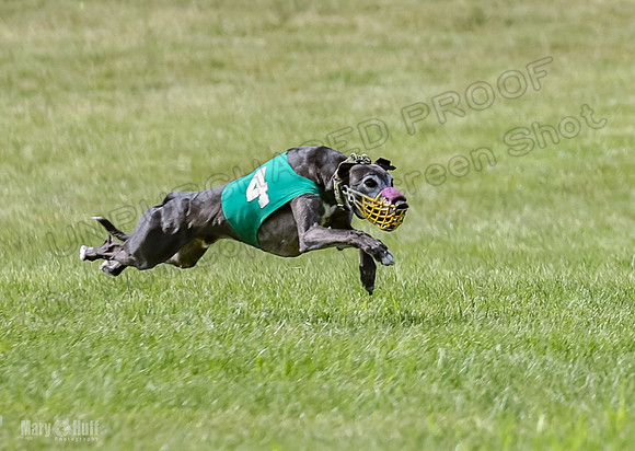 Prrogram 4, Race 3 Tissy Zelda Bandit Tusi TheFonz-2513