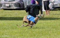 Prrogram 4, Race 2 Bogie Tina Charlotte Jett Roxy-2474
