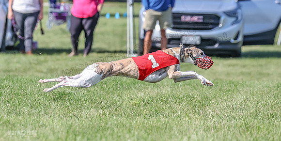 Prrogram 4, Race 5 Sadie Frankie Pearl Jethro EllieMae-2608