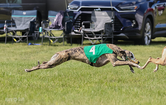 Prrogram 4, Race 2 Bogie Tina Charlotte Jett Roxy-2488