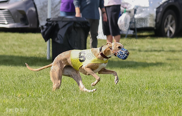 Prrogram 4, Race 2 Bogie Tina Charlotte Jett Roxy-2477