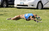 Prrogram 4, Race 2 Bogie Tina Charlotte Jett Roxy-2476
