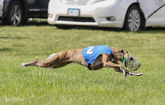Prrogram 4, Race 2 Bogie Tina Charlotte Jett Roxy-2476
