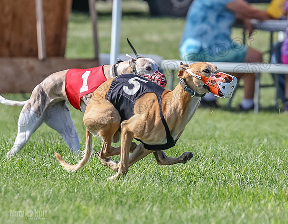 Prrogram 4, Race 5 Sadie Frankie Pearl Jethro EllieMae-2593