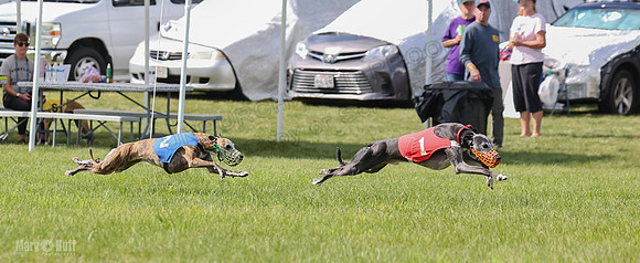 Prrogram 4, Race 2 Bogie Tina Charlotte Jett Roxy-2472