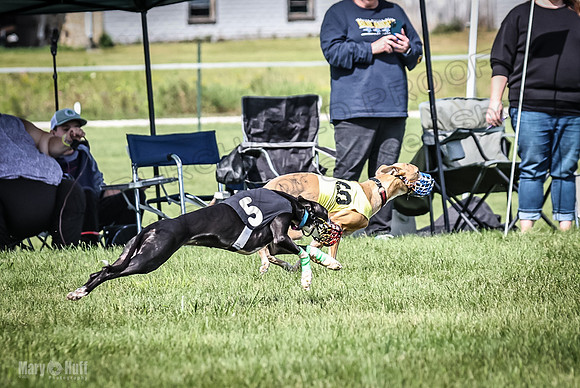 Prrogram 4, Race 2 Bogie Tina Charlotte Jett Roxy-2498