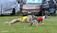 Prrogram 4, Race 1 Trillian Fia Nathalia Blaze Denim-2439