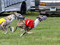 Prrogram 4, Race 1 Trillian Fia Nathalia Blaze Denim-2438