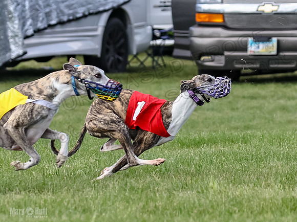 Prrogram 4, Race 1 Trillian Fia Nathalia Blaze Denim-2438