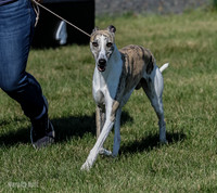 5C7A2752