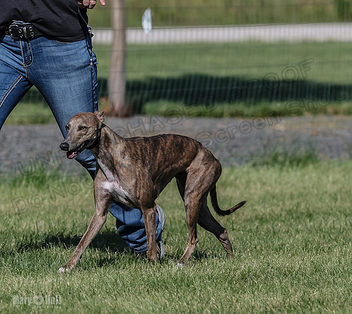 5C7A2733