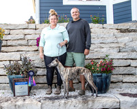 AE4I3285