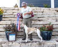 Win Photos Free to Download