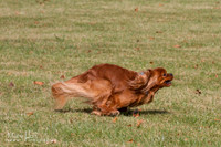 IMG_8155