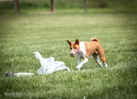 5C7A1989