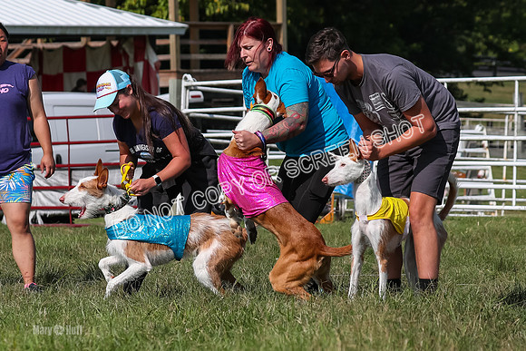 Open Prelim A1, Rose Riptide Idina-7542