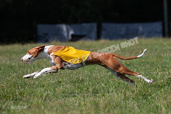 Open Prelim A2, Madyson, Razz-7629