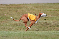 1 Prelims Fch 1 Penny Jadis Willow-5768