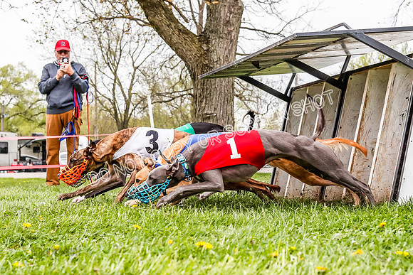 WRA, Prg 3, Race 7, Jubilee Sparks Snacks Tahoe Babblez Stormy-9202